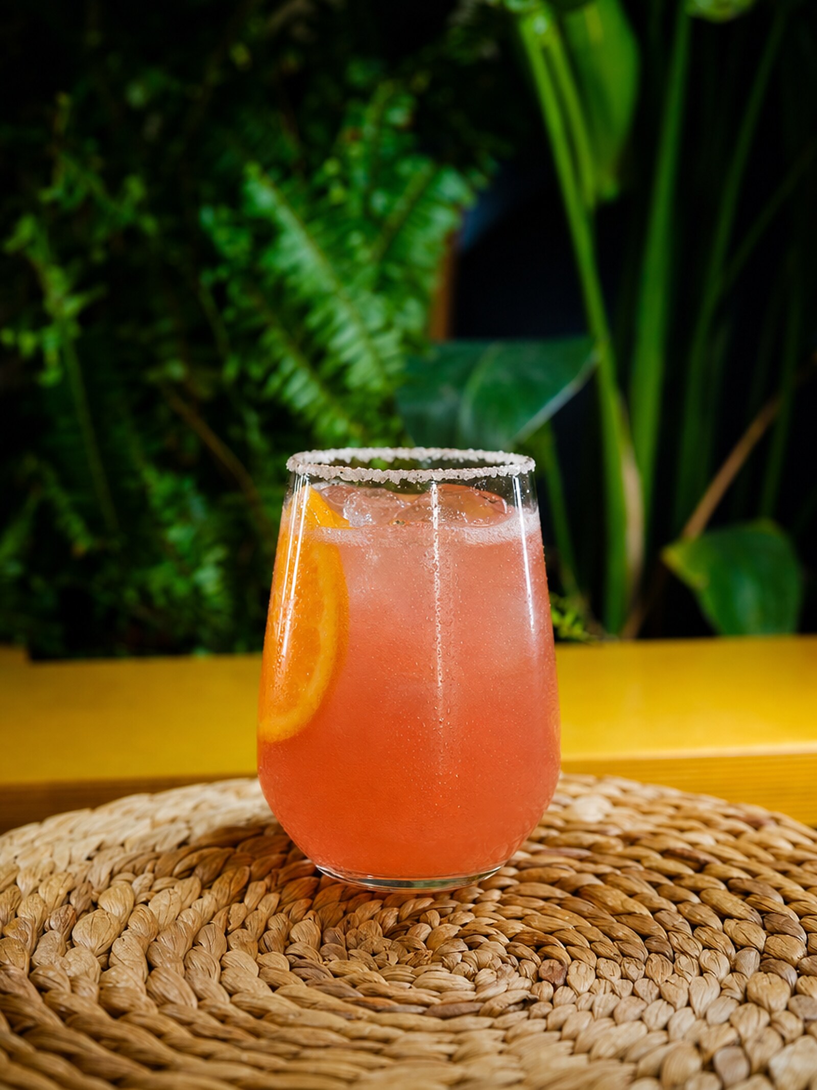 Paloma